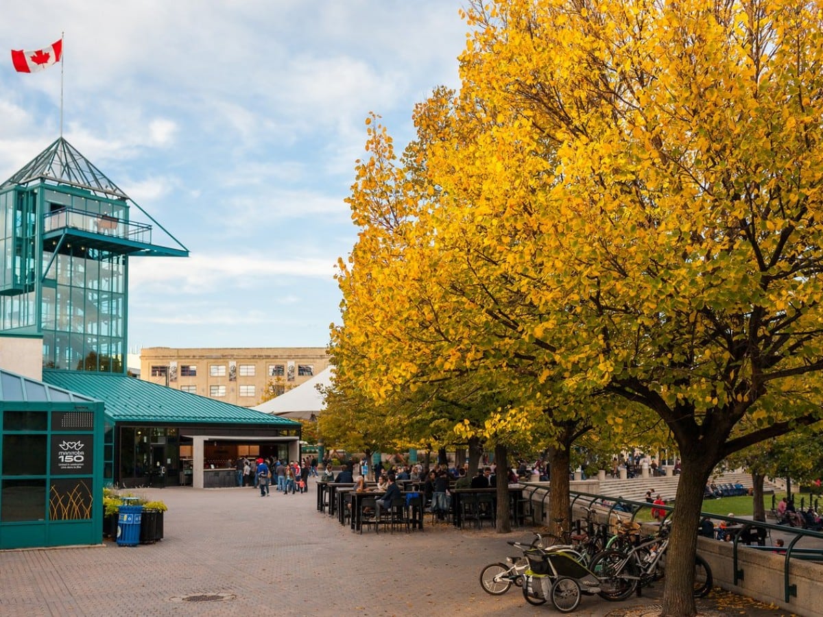 The Four Seasons: Autumn - The Forks, photo by Salvador Maniquiz