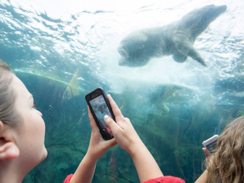 Assiniboine Park Zoo