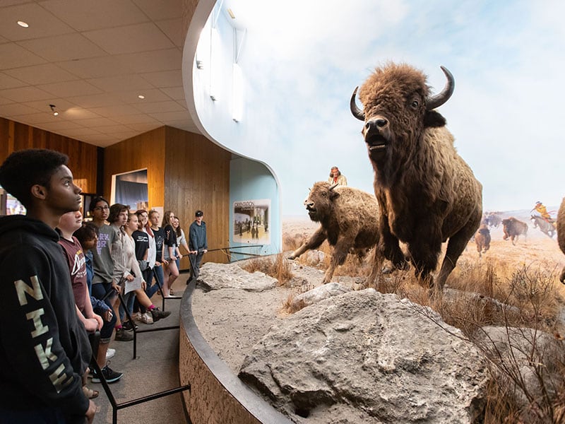 The Manitoba Museum