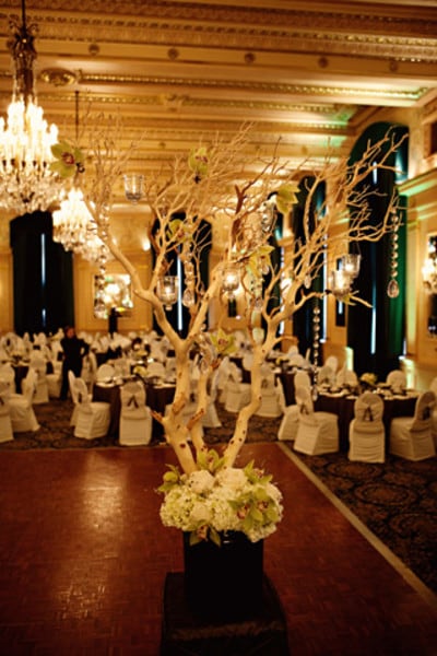 Amazing decor